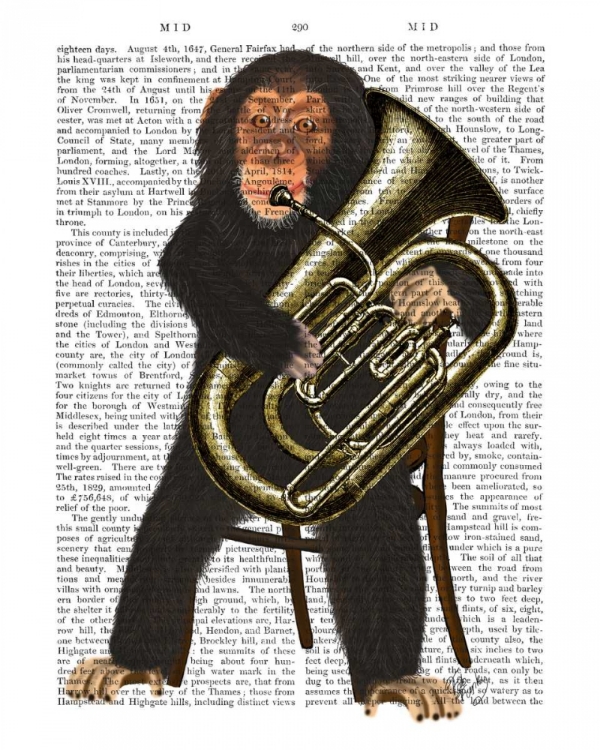 Picture of CHIMP PLAYING TUBA