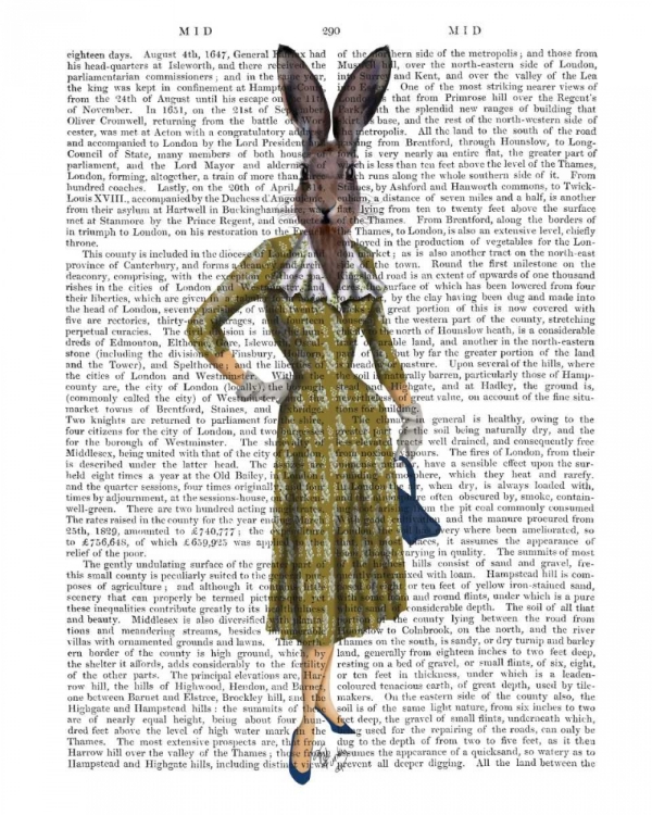 Picture of RABBIT IN MUSTARD DRESS