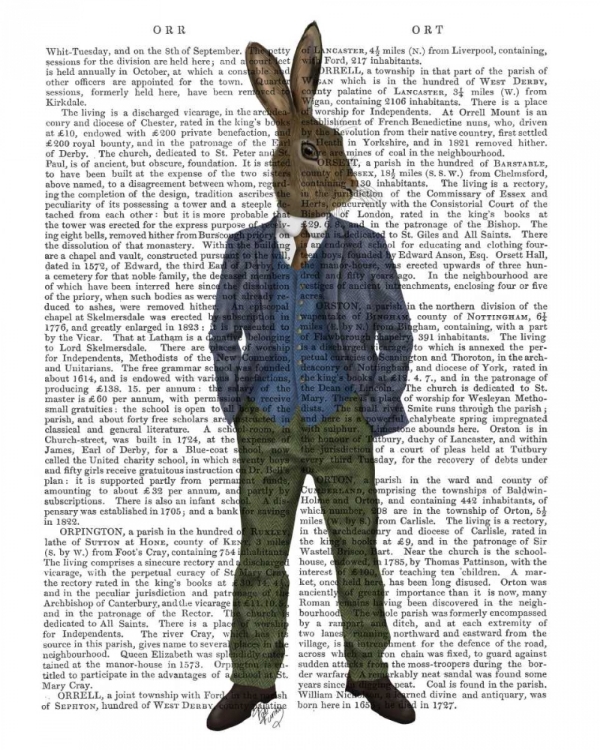 Picture of RABBIT IN BLUE WAISTCOAT