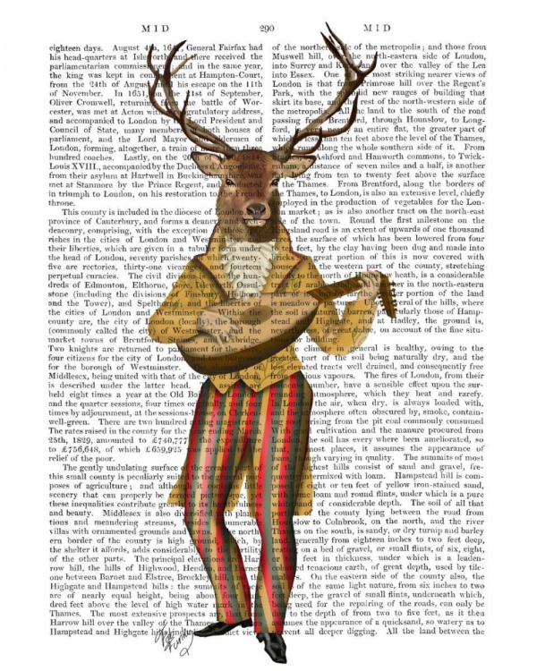 Picture of DEER MINSTREL