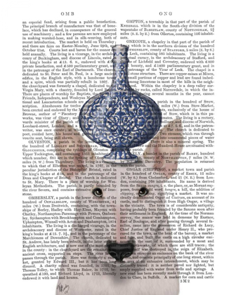 Picture of ENGLISH BULL TERRIER WITH BLUE VASE