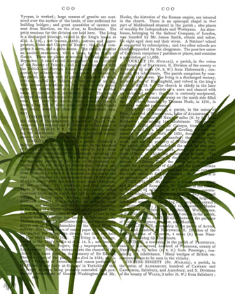 Picture of FAN PALM 1, GREEN ON WHITE