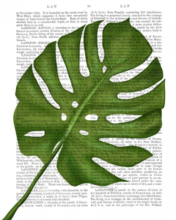 Picture of MONSTERA LEAF 1, GREEN ON WHITE