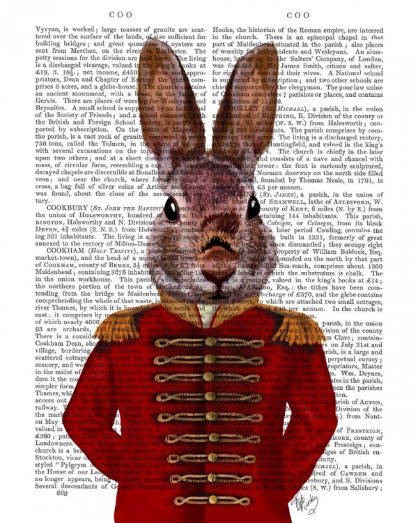 Picture of MILITARY RABBIT IN RED