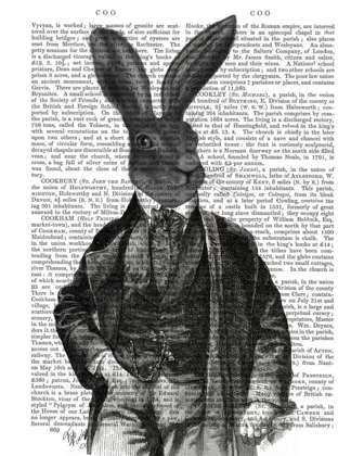 Picture of RABBIT VICTORIAN GENT