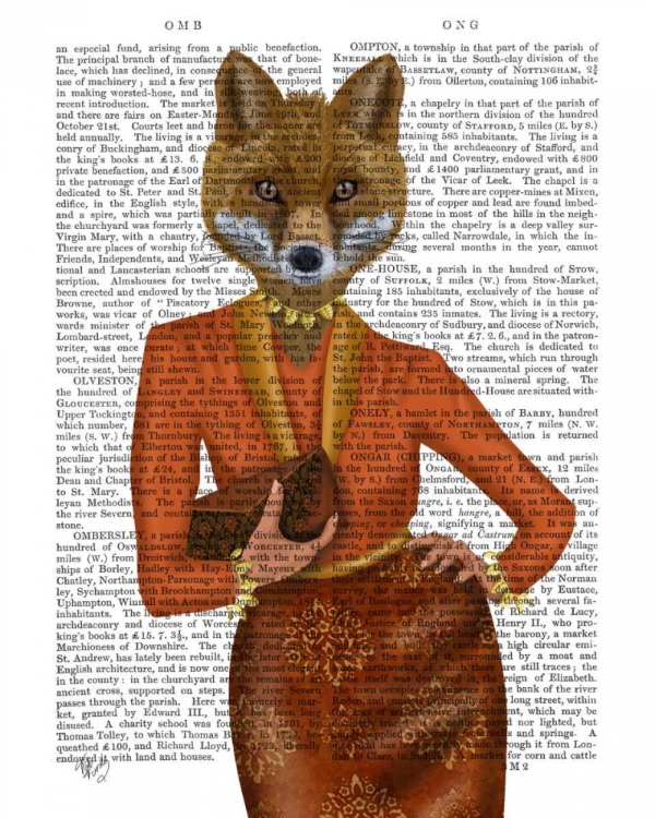 Picture of FOX IN ORANGE, PORTRAIT