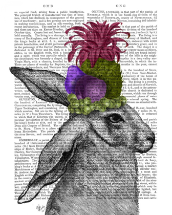 Picture of RABBIT, FRUIT HEADDRESS