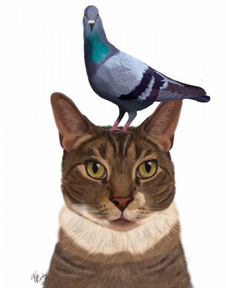 Picture of CAT WITH PIGEON ON HEAD