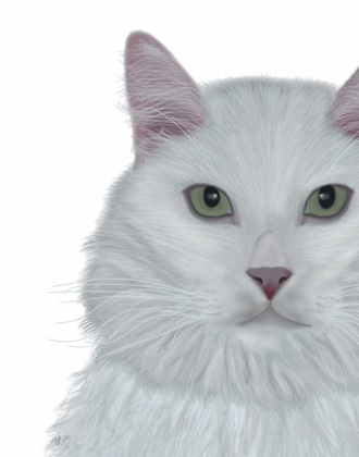 Picture of CAT, WHITE PORTRAIT ON WHITE