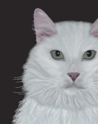 Picture of CAT, WHITE PORTRAIT ON DARK GREY