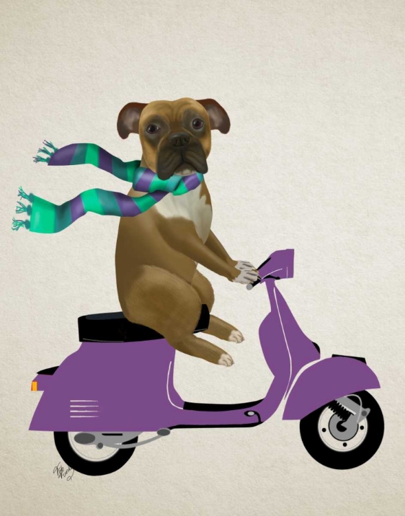 Picture of BOXER ON MOPED