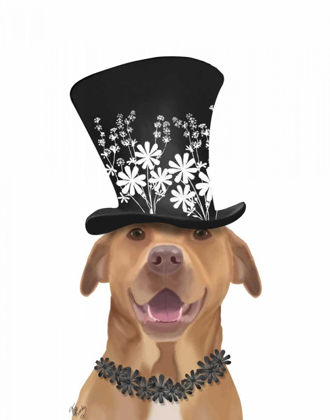 Picture of PIT BULL WITH BLACK HAT