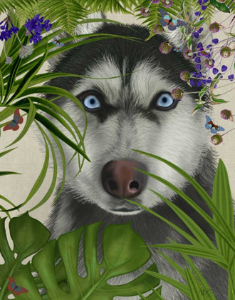 Picture of TROPICAL HUSKY