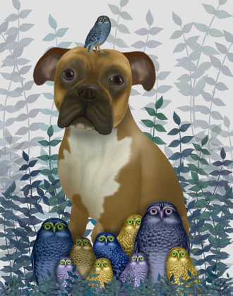 Picture of BOXER AND OWLS