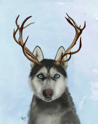 Picture of HUSKY AND ANTLERS