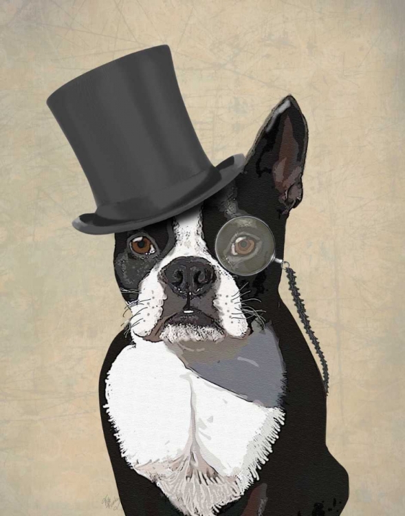 Picture of BOSTON TERRIER, FORMAL HOUND AND HAT