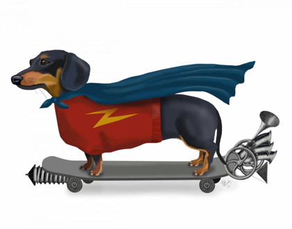 Picture of DACHSHUND ON SKATEBOARD