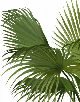 Picture of FAN PALM 2, GREEN ON WHITE