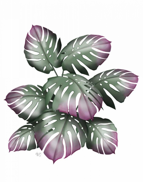 Picture of MONSTERA PLANT, PINK AND GREEN