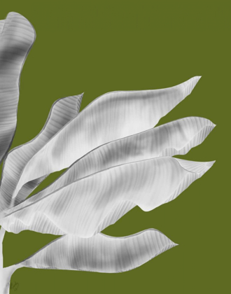 Picture of BANANA LEAVES 1, WHITE ON GREEN