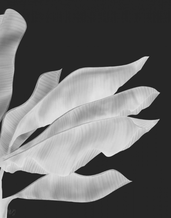 Picture of BANANA LEAVES 1, WHITE ON BLACK