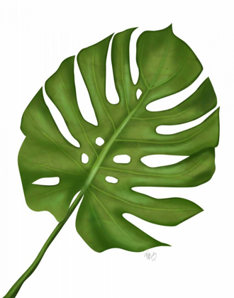 Picture of MONSTERA LEAF 1, GREEN ON WHITE