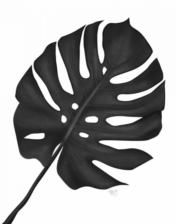 Picture of MONSTERA LEAF 1, BLACK ON WHITE