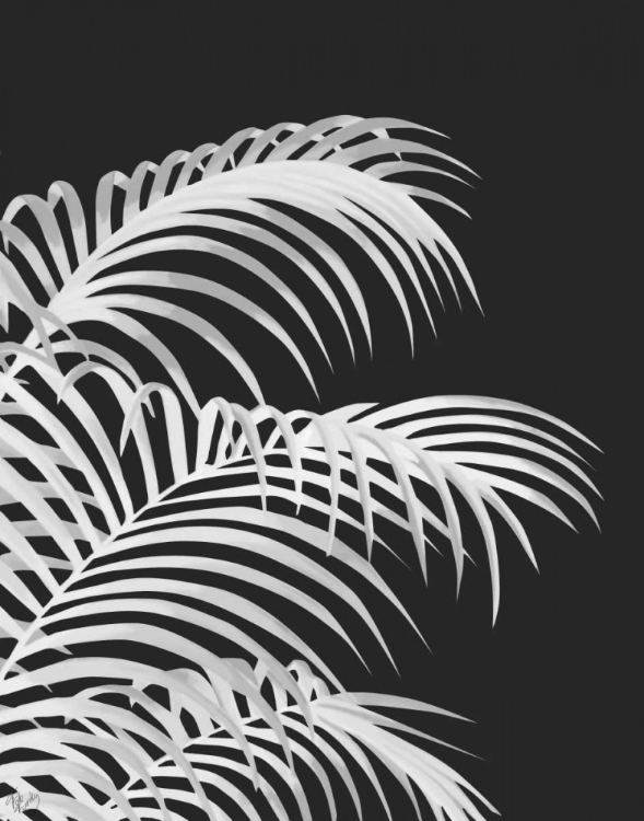 Picture of PALM LEAF 1, WHITE ON BLACK