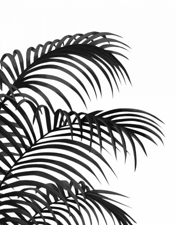 Picture of PALM LEAF 1, BLACK ON WHITE