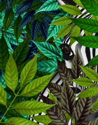 Picture of ZEBRA IN GREEN LEAVES