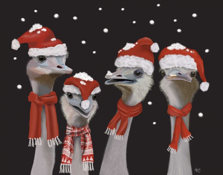 Picture of OSTRICH, CHRISTMAS GALS