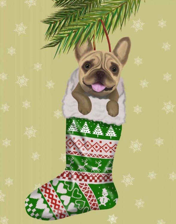 Picture of FRENCH BULLDOG IN CHRISTMAS STOCKING