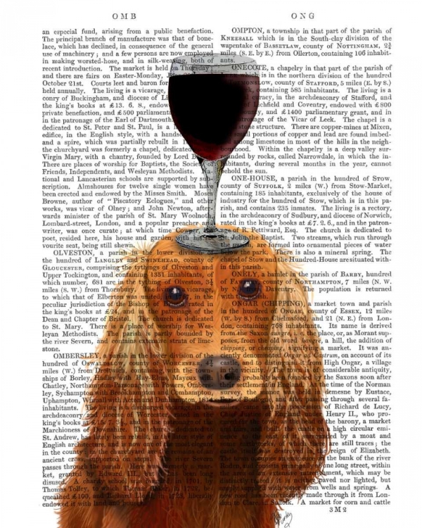 Picture of DOG AU VIN, COCKER SPANIEL