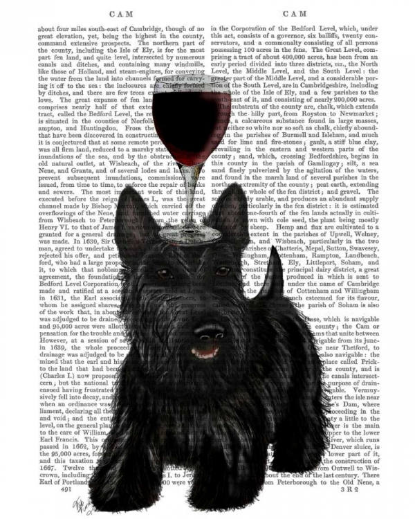 Picture of DOG AU VIN, SCOTTISH TERRIER