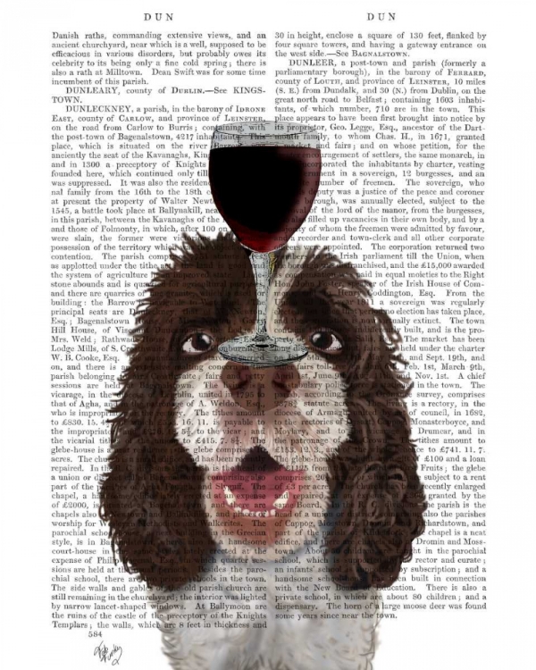 Picture of DOG AU VIN, SPRINGER SPANIEL