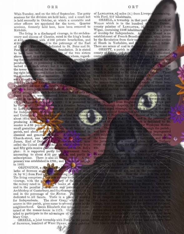 Picture of CAT AND FLOWER GLASSES