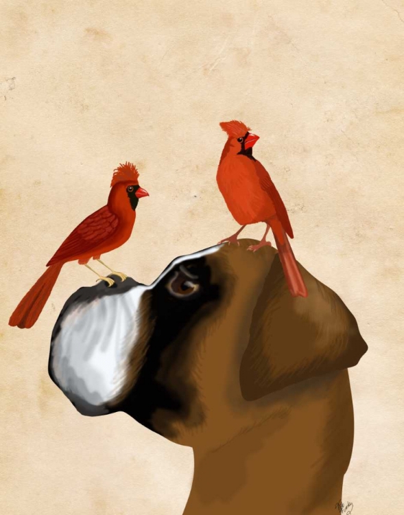 Picture of BOXER AND RED CARDINALS