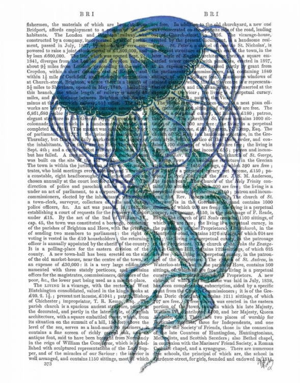 Picture of BLUE JELLYFISH 1