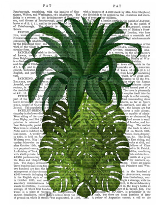 Picture of PINEAPPLE, MONSTERA LEAF