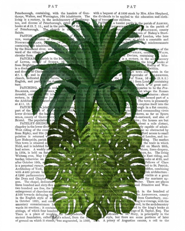 Picture of PINEAPPLE, MONSTERA LEAF