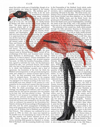 Picture of FLAMINGO WITH KINKY BOOTS