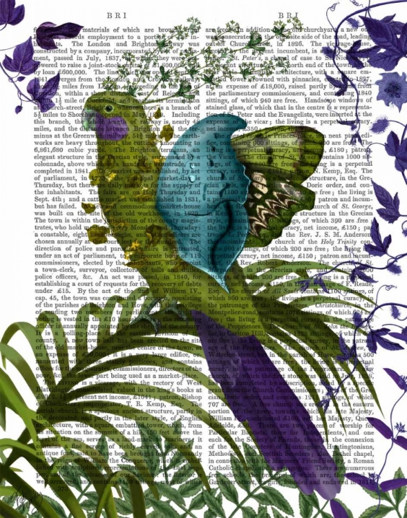 Picture of FANTASY PARROT 1