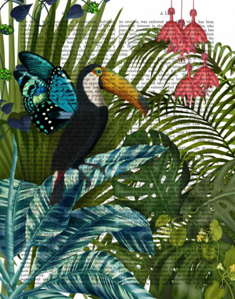 Picture of TOUCAN IN TROPICAL FOREST