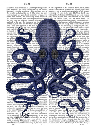 Picture of OCTOPUS 9, BLUE