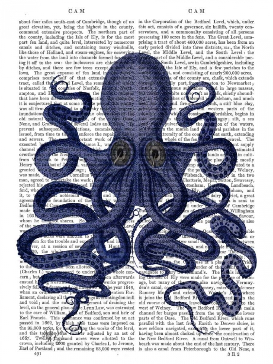 Picture of OCTOPUS 9, BLUE