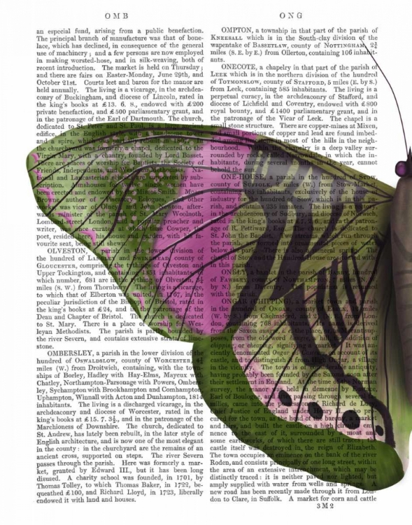 Picture of BUTTERFLY IN GREEN AND PINK A