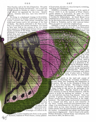 Picture of BUTTERFLY IN GREEN AND PINK B