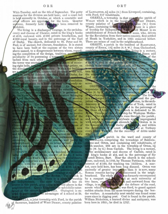 Picture of BUTTERFLY IN TURQUOISE AND YELLOW B