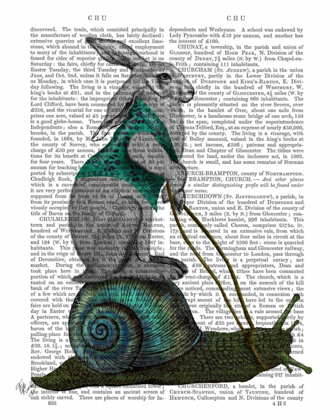 Picture of HARE AND SNAIL