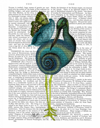 Picture of SNAIL BIRD